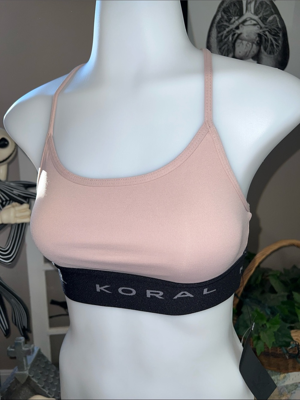 Koral sports bra
